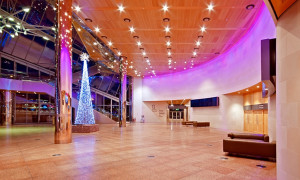 The CCD - Christmas Foyer