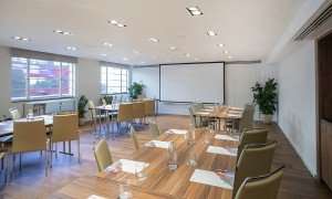 Natural, Bright and Modern. A perfect space for meeting upto 80 Delegates. view