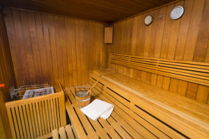 Sauna, InterContinental Vienna view