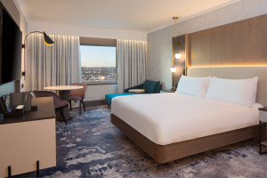 Example Executive Room view
