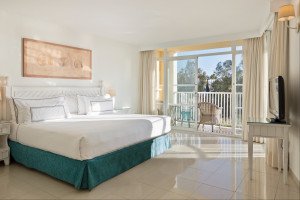 Example Executive Bedroom view