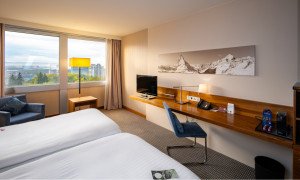 Example Executive Room view