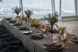 Example Dinner set-up view