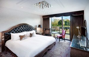 Example Executive Bedroom view