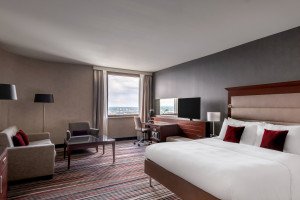 Example Suite view