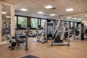 Fitness view
