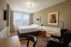 Example Executive Bedroom view