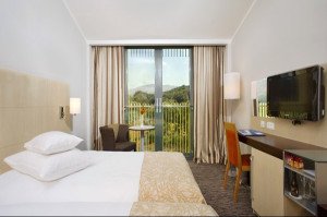 Example Standard Bedroom view