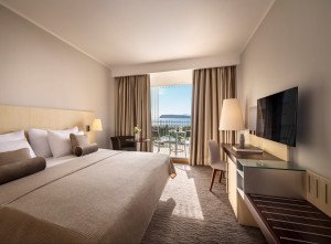 Example Executive Bedroom view