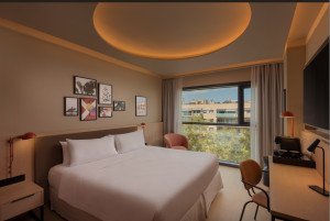 Example Suite view