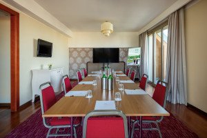 Example Boardroom Style view