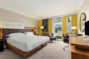 Example Executive Bedroom view
