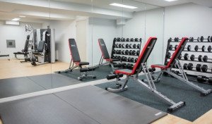 Fitness view