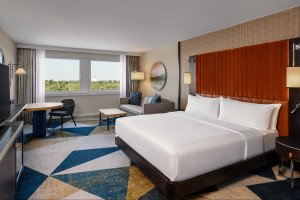 Example Executive Bedroom view