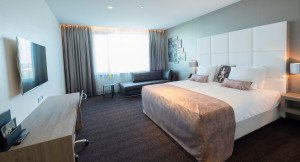 Example Executive Bedroom view