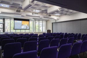 Example Theatre Style view