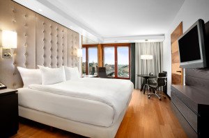 Example Executive Room view
