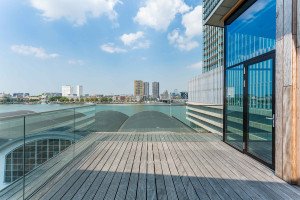 Outdoor Space view