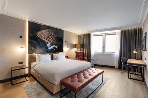 Example Standard Bedroom - Red view