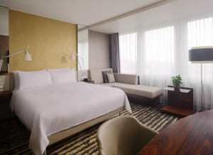 Example Executive Room view