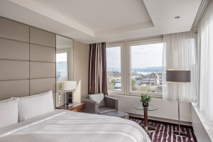 Example Suite view