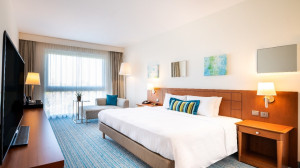 Example Executive Bedroom view