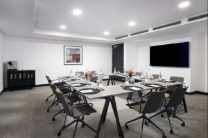 Example Boardroom Style view
