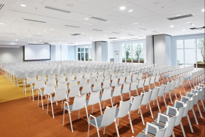 Example Theatre style view