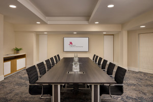 Example Boardroom Style view