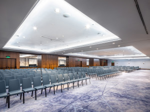 Example Theatre Style view