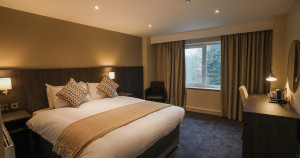 Example Standard Bedroom view