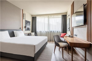 Example Standard Bedroom - Radisson view