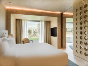 Example Executive Bedroom view