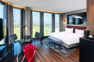 Example Executive Bedroom view