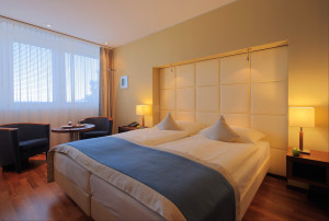 Example Executive Bedroom view
