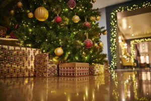Christmas view