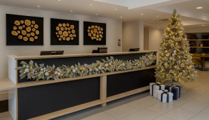 Reception - Christmas view