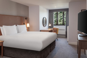 Example Standard Bedroom view