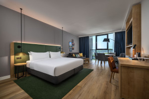 Example Standard Bedroom view