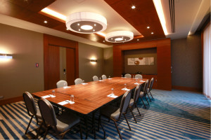 Example Boardroom Style view