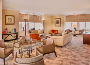 Example Suite view