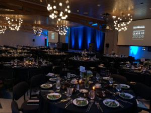 Example cabaret style view