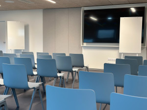 Example Boardroom Style view