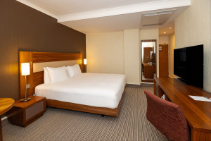 Example Standard Bedroom view