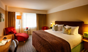Example Executive Bedroom view