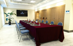 Example Boardroom Style view