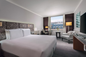 Example Executive Bedroom view