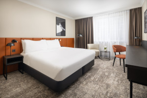 Example Standard Bedroom view