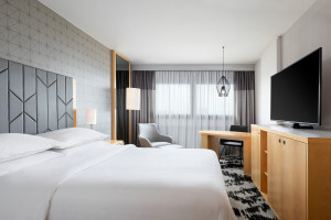 Example Executive Room view